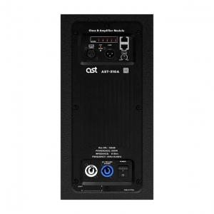 Активная акустическая система AST-310A в Обухово
