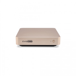 EVOBOX с микрофонами в Обухово